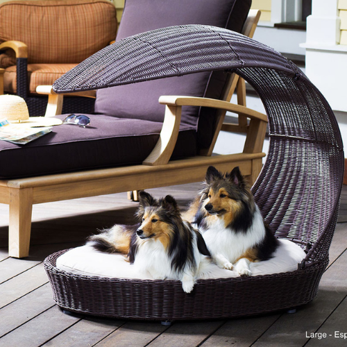 Dog Furniture