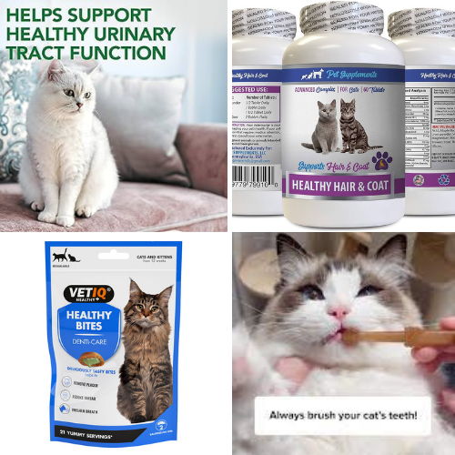 Shop Cat Health Supplies