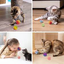 Cat Toys