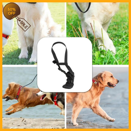 Dog Front Paw Protector well-liked®