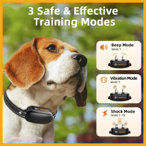 Dog Training Collar with Remote®