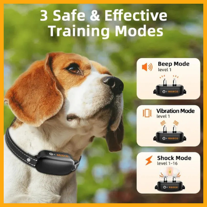 Dog Training Collar with Remote®