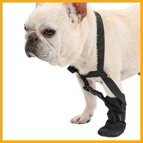 Dog Front Paw Protector well-liked®