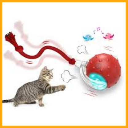 Interactive Cat Toys Ball for Indoor®