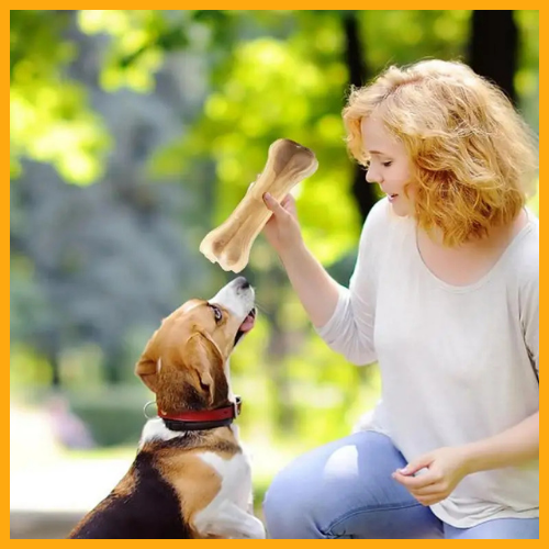 Dog Teething Bone Beef Flavor®