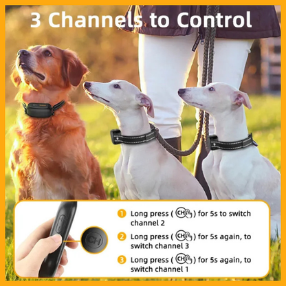 Dog Training Collar with Remote®