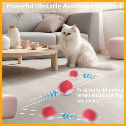 Interactive Cat Toys Ball for Indoor®