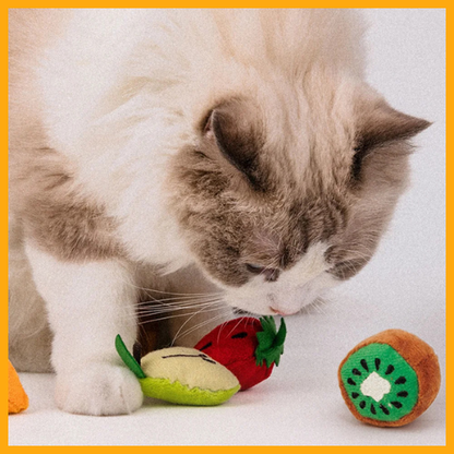 All For Paws Catnip Toys 3D Fruit Stimulates®