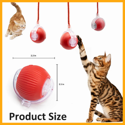 Interactive Cat Toys Ball for Indoor®