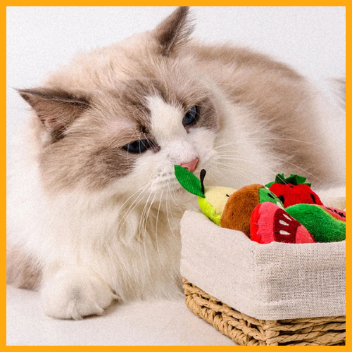 All For Paws Catnip Toys 3D Fruit Stimulates®