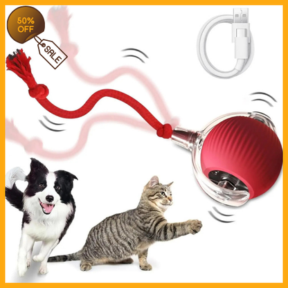 Interactive Cat Toys Ball for Indoor®