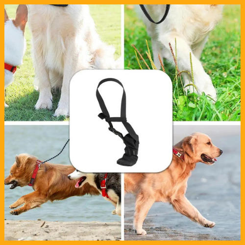 Dog Front Paw Protector well-liked®