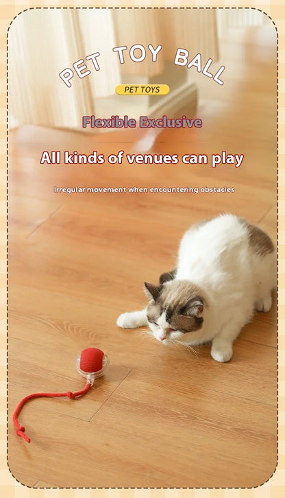 Interactive Cat Toys Ball Auto Electric Rolling Ball Toys for Cats/Kitty Pets Smart Automatic Teaser USB Rechargeable