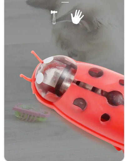 Funny Electric Bugs Catnip Toy Automatic Tunnel Mini Robot Bug Vibration Insect Toys For Cats Battery Operated Cockroach Ladybug